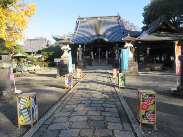 故郷足利鑁阿寺の大銀杏