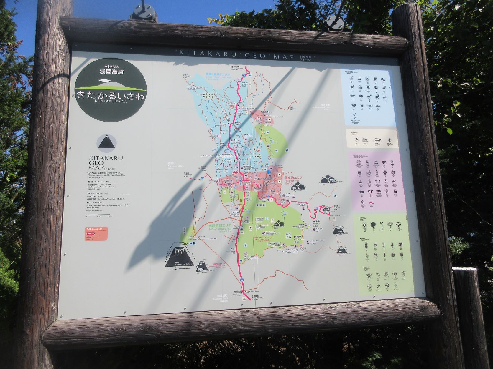 ４１９キャベツ