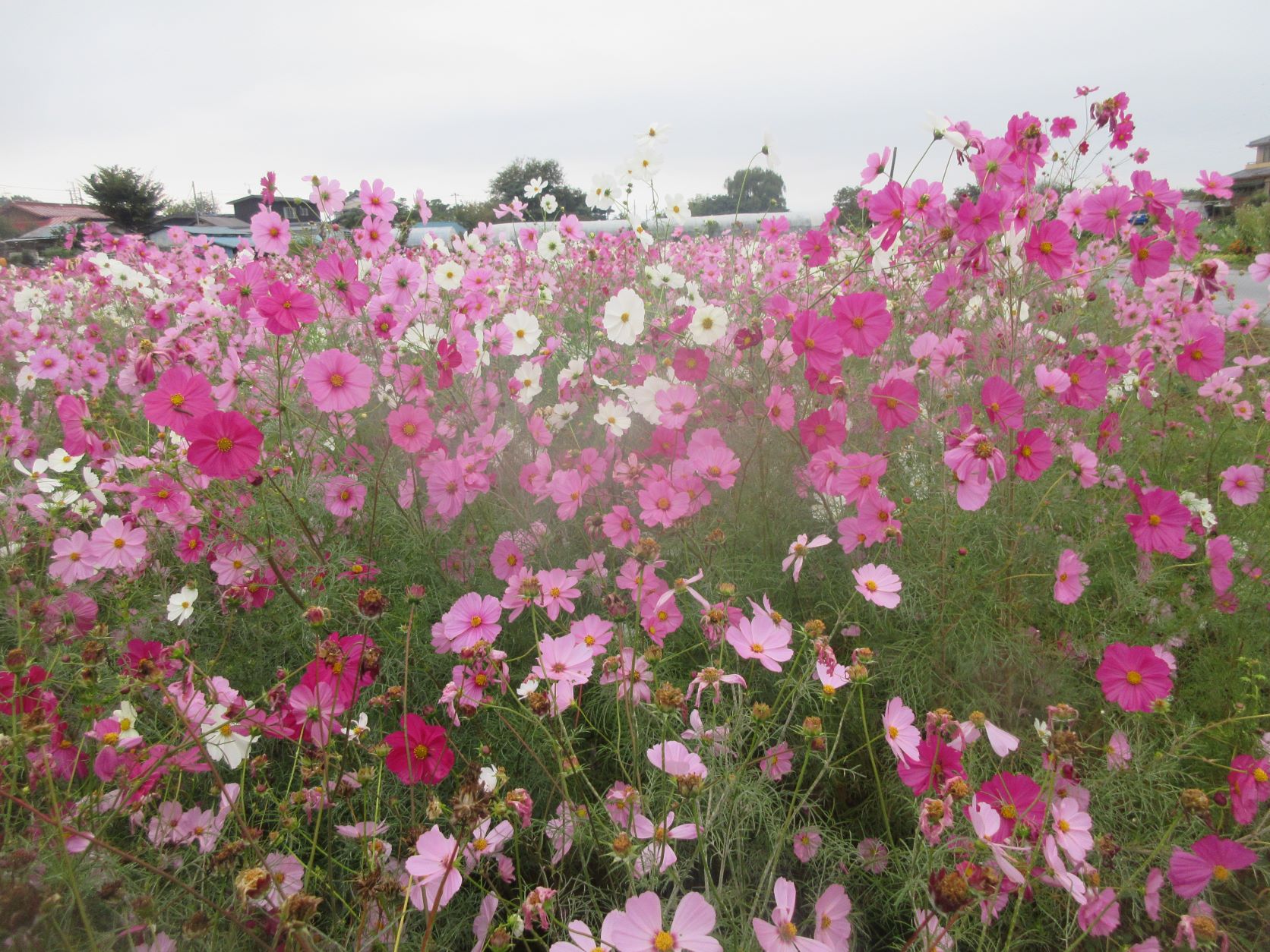 トイレ漏水修理