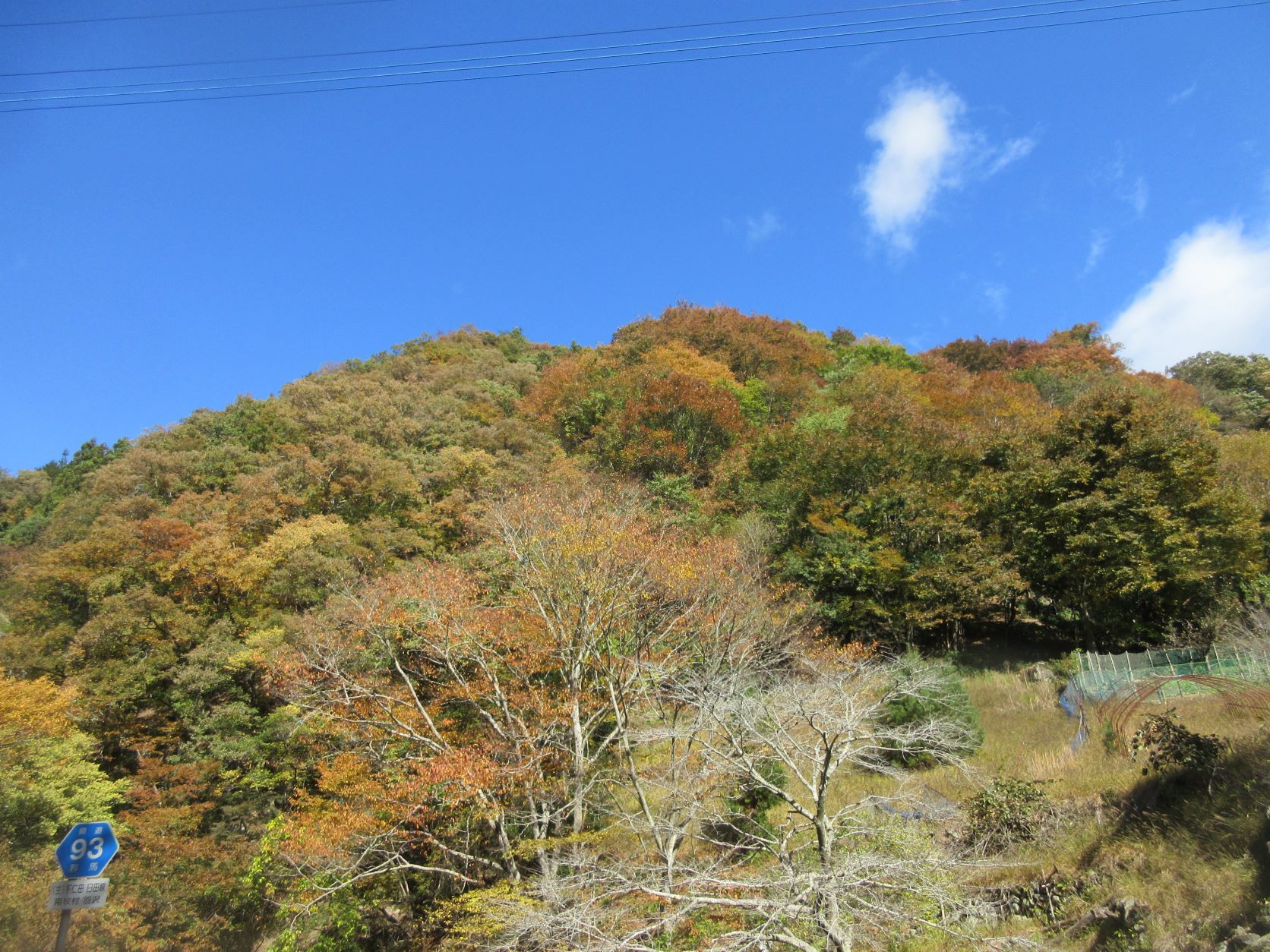 ネギを求めて下仁田へ