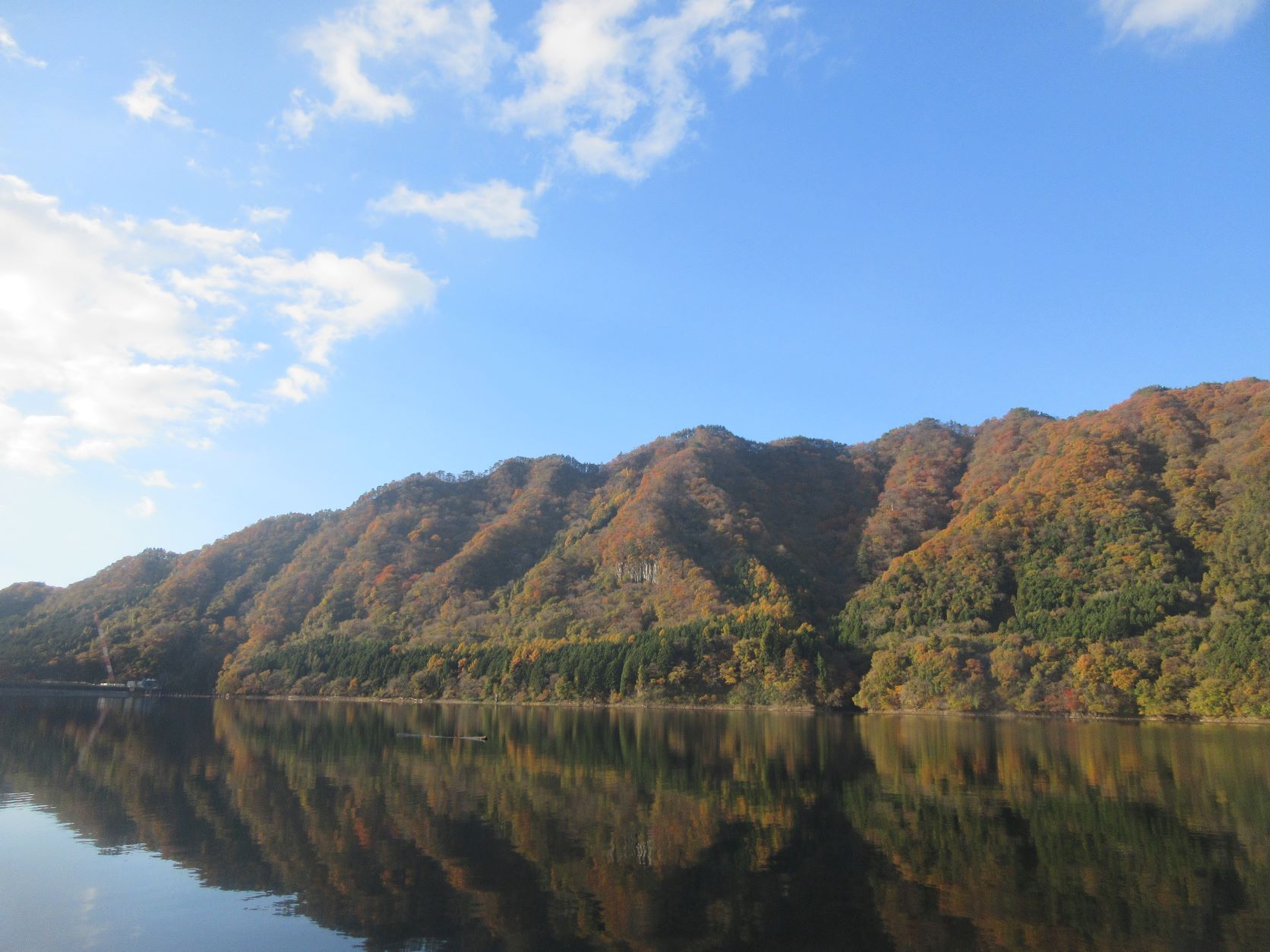 晩秋の赤谷湖でワカサギと遊ぶ♬
