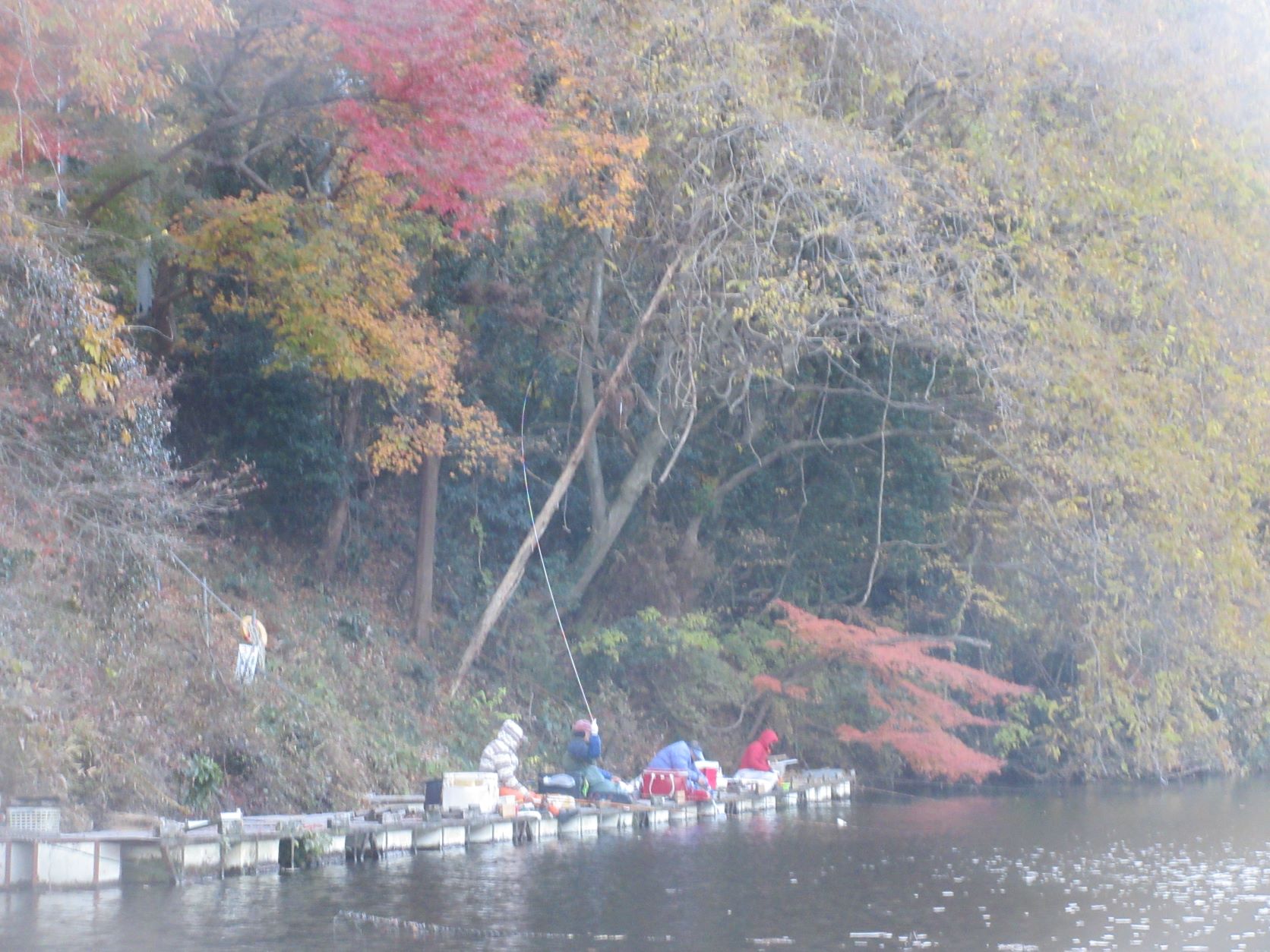 今シーズンお初の間瀬湖でワカサギと遊ぶ♬