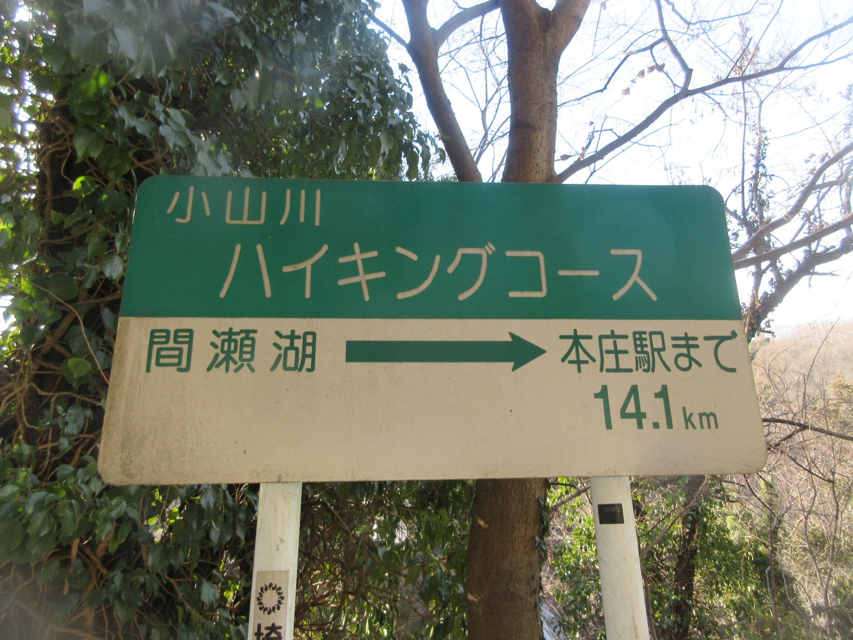 氷点下の間瀬湖でワカサギと遊ぶ♬